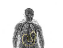 X-Ray Body/Person/Human Scanner